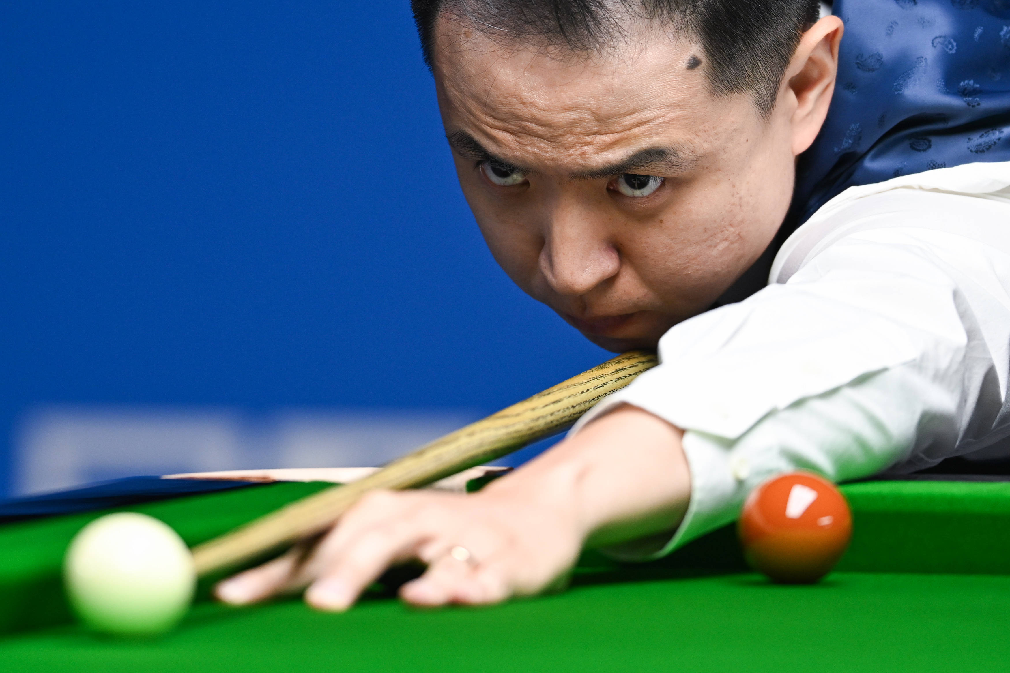 了专家的预 了专家的预