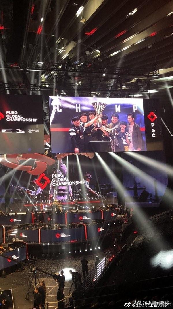 多样化的进 多样化的进